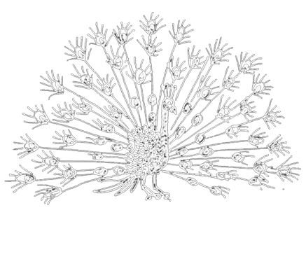 Preston Court Home